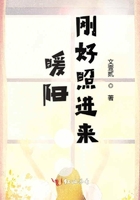 暖陽剛好照進來在線閱讀