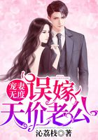 宠妻无度：误嫁天价老公在线阅读