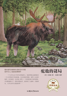 駝鹿的謎局