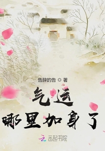 無何有之照經年