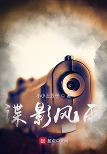 諜影風雨