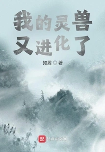 我的灵兽又进化了 封面