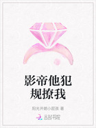 影帝他犯规撩我在线阅读