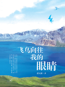 飛鳥向往我的眼睛