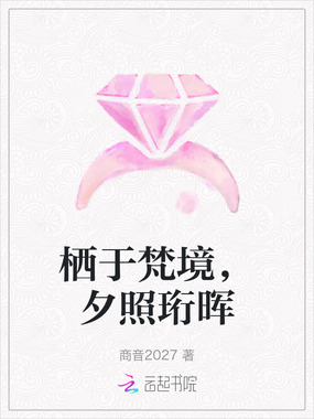 栖于梵境，夕照珩晖在线阅读