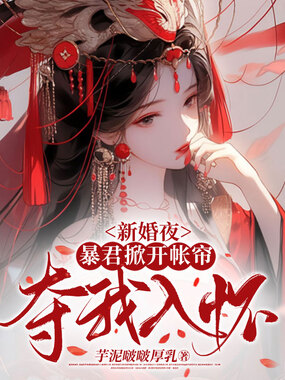 新婚夜，暴君掀开帐帘夺我入怀在线阅读