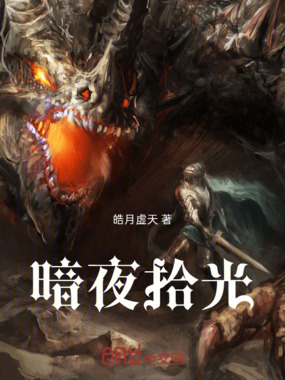 暗夜拾光在线阅读