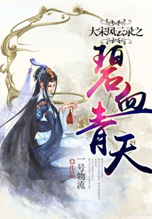 大宋风云录之碧血青天