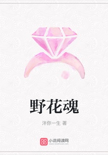 野花魂