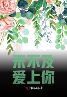 来不及爱上你