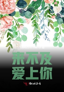 來不及愛上你