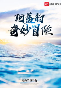 阿盖的奇妙冒险