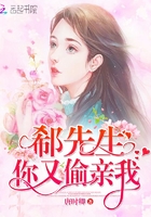 郗先生，你又偷親我在線閱讀