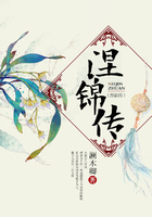涅錦傳在線閱讀