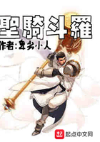 圣骑斗罗在线阅读