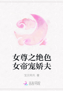 女尊之绝色女帝宠娇夫
