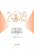 宁夏区情报告.2019（下）在线阅读