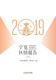 寧夏區(qū)情報(bào)告.2019(下)