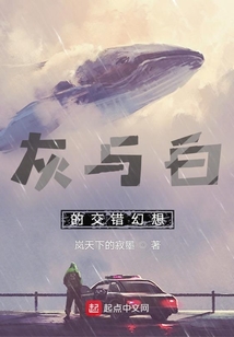 灰與白的交錯幻想