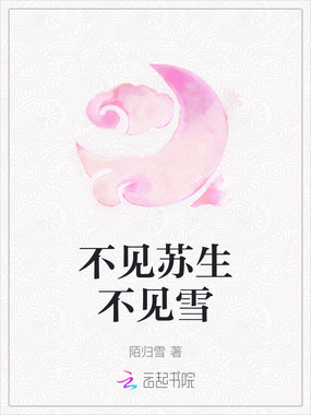 不见苏生不见雪在线阅读