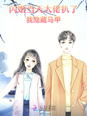 闪婚当天，大佬扒了我隐藏马甲在线阅读