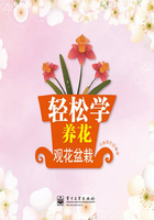 轻松学养花：观花盆栽