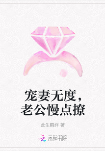 寵妻無度,老公慢點(diǎn)撩