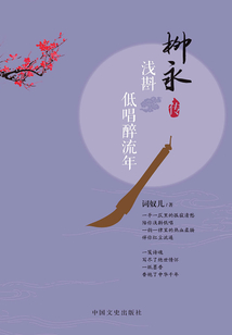 浅斟低唱醉流年