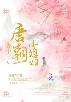 娶個唐朝小媳婦在線閱讀