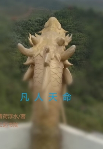 凡人天命