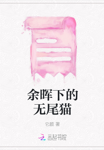 余暉下的無尾貓