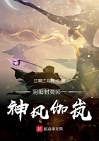 阴阳封灵师神风伽岚在线阅读