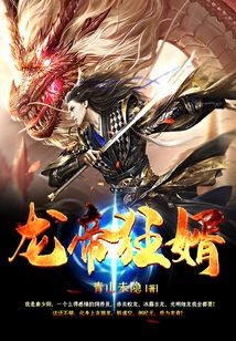 龙帝狂婿