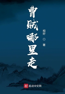 曹賊哪里走