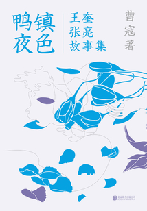 鸭镇夜色:王奎张亮故事集
