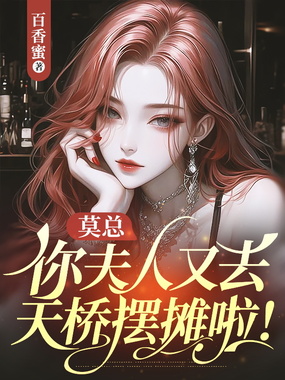 莫总,你夫人又去天桥摆摊啦!在线阅读