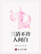 三清不许人间白在线阅读