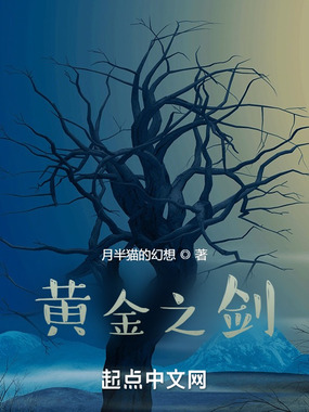 黄金之剑在线阅读