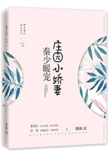 秦少暖寵：莊園小嬌妻