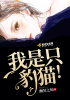 我是只豹猫!在线阅读