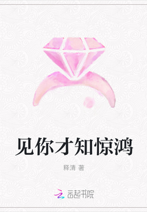 見你才知驚鴻