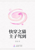 快穿之貓主子駕到在線閱讀