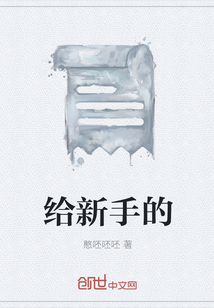 給新手的