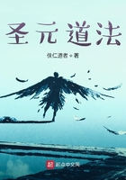 圣元道法在线阅读