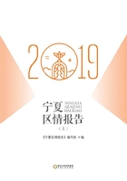 宁夏区情报告.2019（上）