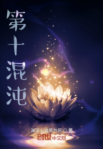 第十混沌