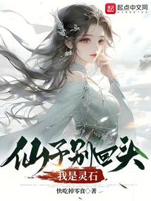 仙子别回头,我是灵石 cover