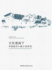 文化視閾下中國現代小城小說研究