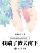 重返八零,我踹了渣夫南下在线阅读