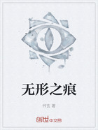 无形之痕在线阅读
